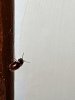 20170717_115746.jpg