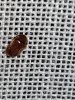 20170717_115928.jpg
