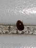 20170717_120013.jpg