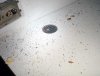 excremento-germanica-02.jpg