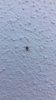 IMG-20180724-WA0038.jpg