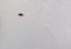 20181006_081708.jpg
