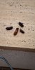 IMG-20181030-WA0001.jpg