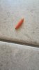 IMG-20190404-WA0018.jpeg
