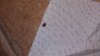 20190404_191444.jpg