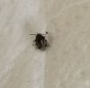 IMG_20190610_172237.jpg
