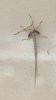 Screenshot_20190623-203704_Gallery.jpg