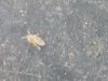 IMG_20190628_112923.jpg