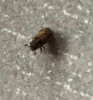 thumbnail_IMG_5975.jpeg