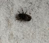 thumbnail_IMG_5977.jpeg