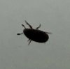 thumbnail_IMG_5978.jpeg