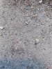 IMG_20191028_123041.jpg
