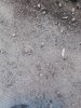 IMG_20191028_123027.jpg