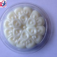 Co-nantec