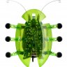 Cucaracha Powers