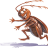 dealhaurin